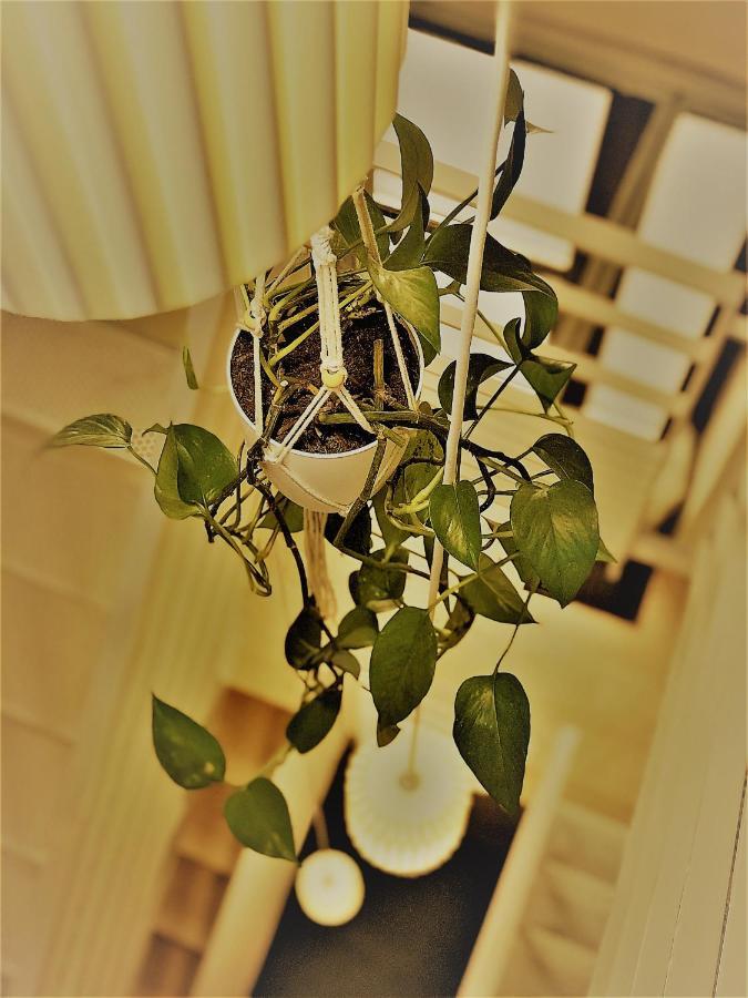 Au Vingtain - Appartement & Spa Atypique Brindas エクステリア 写真